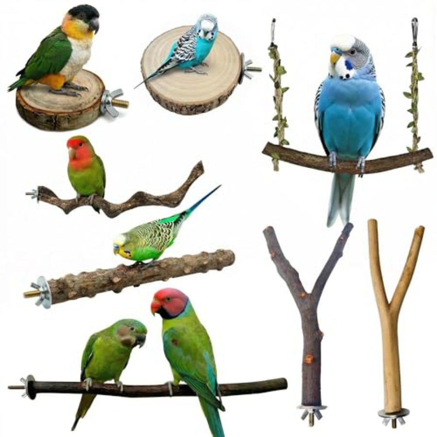 8PCS natural wood bird perches - đánh giá và giá Health & Wellness Farmacia Inc