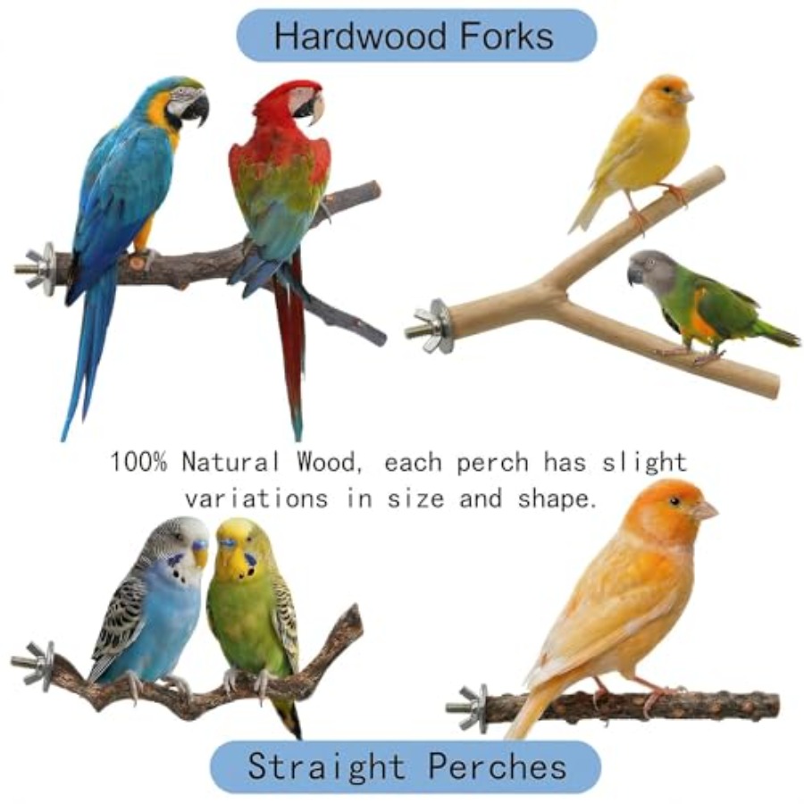 8PCS natural wood bird perches - đánh giá và giá Health & Wellness Farmacia Inc