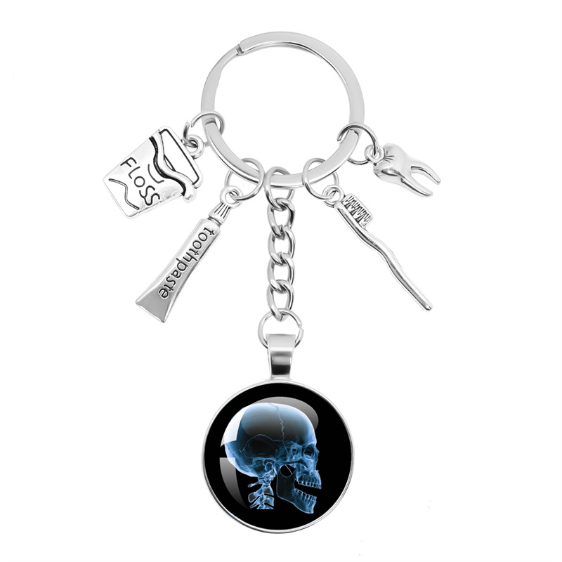 X-ray Film Keychain Human Body - đánh giá và giá Xbody Health & Wellness